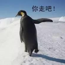 微信与QQ间最烦人的限制,终于被干掉了
