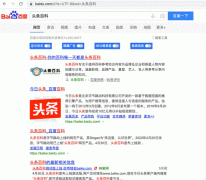 字节系布局搜索业务会因头条百科域名受阻？或豪掷重