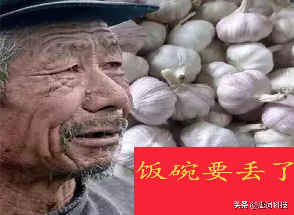 互联网巨头开始卖菜，菜贩子“苦不堪言”：留条活路吧