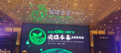 火象矿池HoPool—储存超算突破新起点Chia swarm