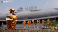 《2024中国力量年度人物》 雅万高铁：高铁出海“第一